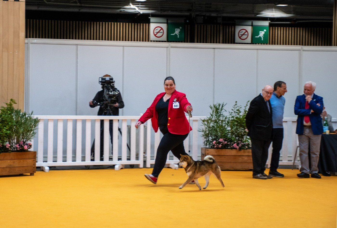 CH. lyurua dyuring Chikyu no tomi