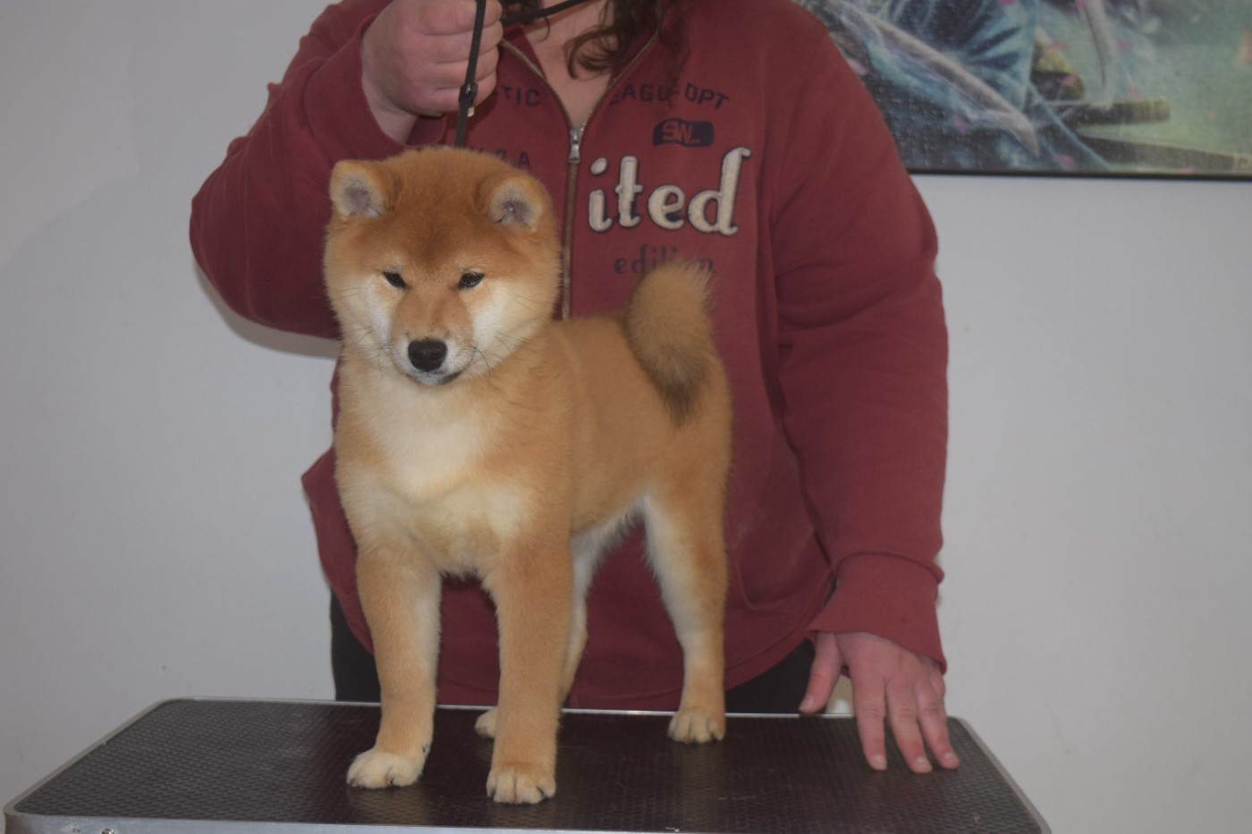 Amon Rê le Tout Puissant De La Perle Des Quatre Ames