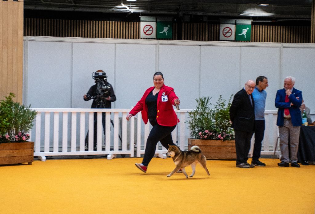 Salon de l'Agriculture 2024 - Concours Général Agricole