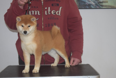 Akasha Queen of the Damned