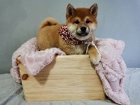 R'Yuki